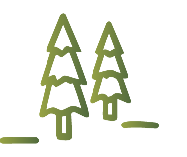 Baum